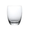 Degrenne Allegro Transparent Fashion