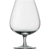 Degrenne Anytime Transparent Hot