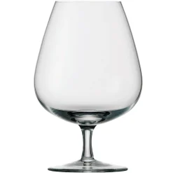 Degrenne Anytime Transparent Hot