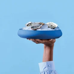Degrenne Gourmet Bleu Online